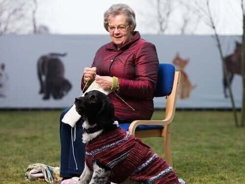 En kvinne som strikker gensere til hjemløse svarte hunder