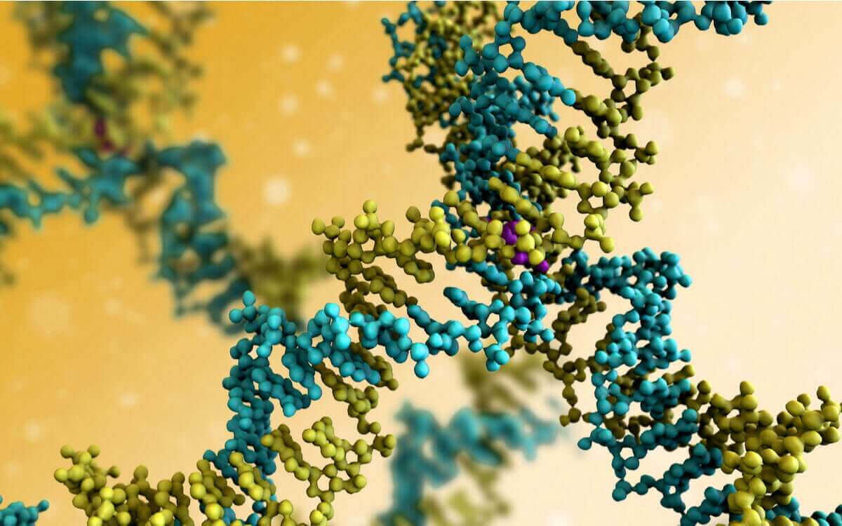En 3D-modell av en DNA-streng