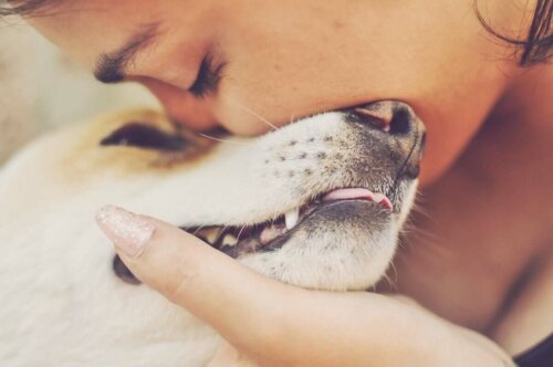 En kvinne som kysser hunden sin
