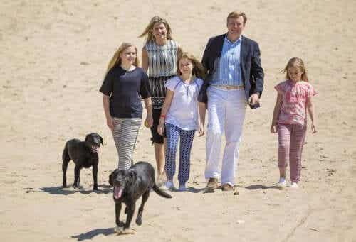 Den nederlandske kongefamilien og deres hunder