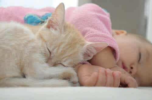 En katt og en baby som sover sammen.