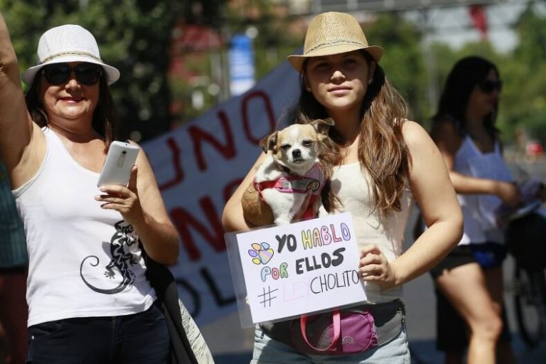 Protesten tegen dierenmishandeling