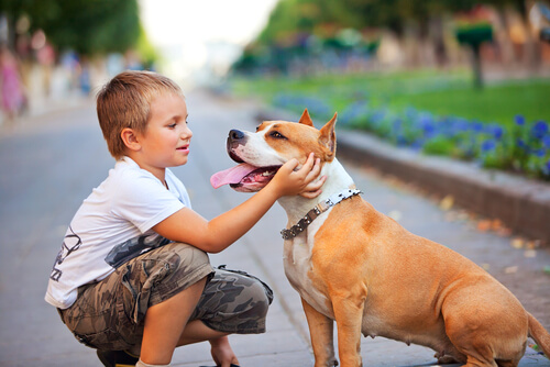 Honden en astma bij kinderen