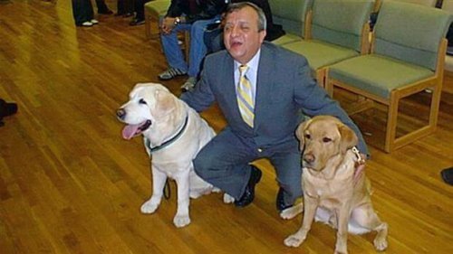 De blindengeleidehond die zijn baas het leven heeft gered op 9/11