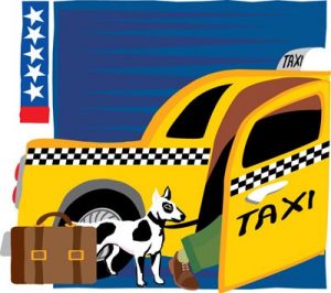 Taxi's voor honden zonder extra kosten