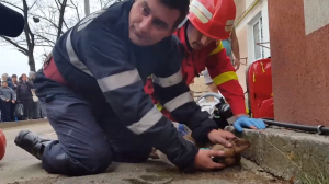 Brandweerman redt hond met mond-op-mondbeademing
