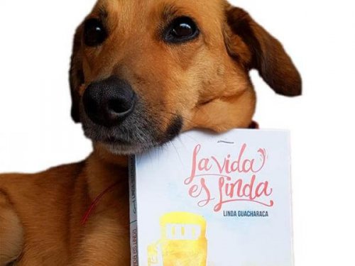 Hond met een boek in de bek