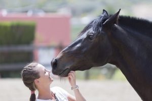 Kan een paard weten hoe we ons voelen?