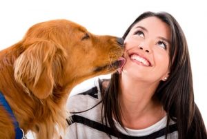 8 Tekenen dat je hond van je houdt