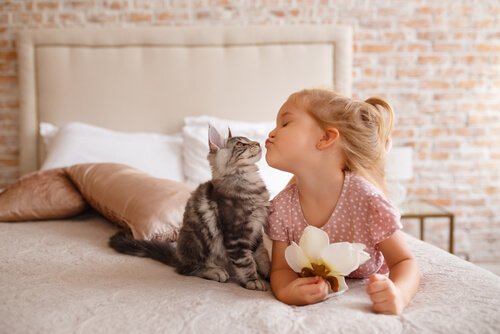 Kat die met een klein meisje socialiseert
