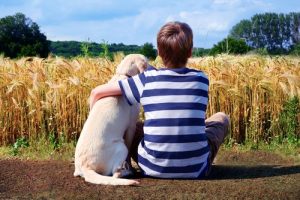 Jongen zit met hond in veld