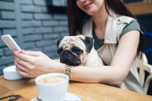 Millennials en huisdieren: een ongewone relatie