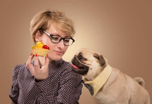 Hond krijgt een cupcake