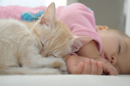 Een kitten slaapt met een baby