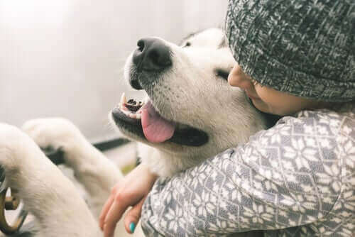 Vrouw en hond knuffelen