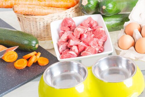Vlees, groenten en hondenvoerbakjes