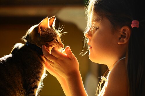 Een meisje knuffelt haar kat