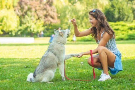 Een vrouw geeft haar hond een snoepje