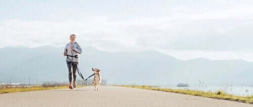 Voordelen van hardlopen met je hond
