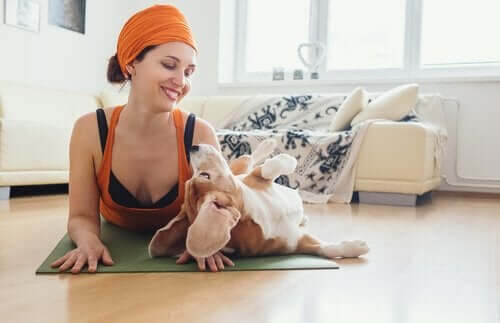De voordelen van doga - yoga voor honden