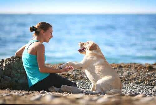Een hond geeft zijn baasje een poot op het strand