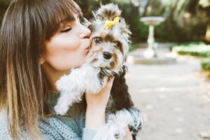 10 geneesmiddelen om angst bij honden te behandelen