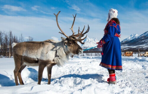 De Sami: de laatste rendierhoeders