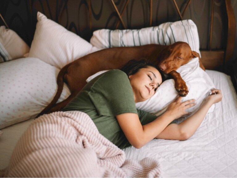 Redenen waarom je hond graag bij je slaapt