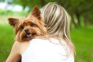 Jak poznać, że Twój pies Cię kocha bezgranicznie