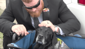Pożegnanie z psem przewodnikiem Ceną przez Żołnierzy