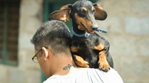 mężczyzna uratował 735 bezpańskich psów