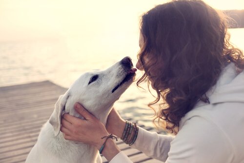 Całowanie psa- możesz nabawić się infekcji!