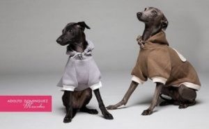 Kolekcja ubrań dla psów od Adolfo Dominguez