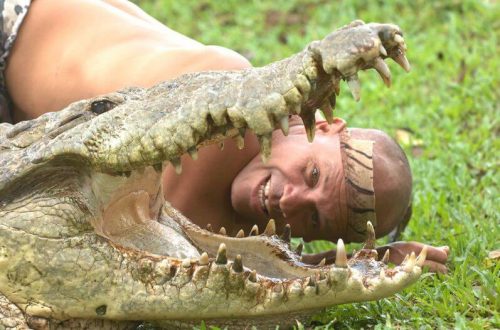 Krokodyl i człowiek