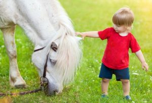 terapia z koniem