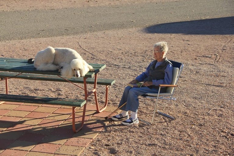 kobieta odpoczywająca z psem