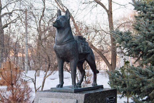 Pomnik bohaterskiego psa