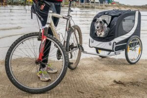 Przyczepka rowerowa - sposób na rower z psem