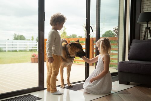 Kontakt dzieci z psami - dwójka dzieci i pies