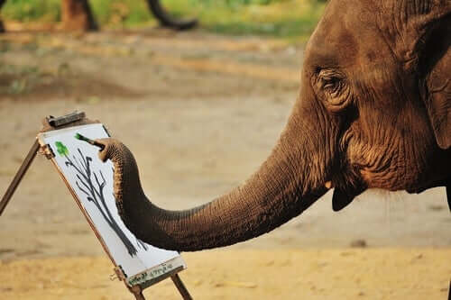 Słonie które malują: czy to złe traktowanie zwierząt?