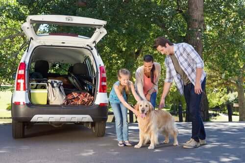 Transport psa, rodzina z psem przed autem