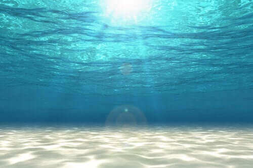 głębia oceanu 