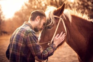 Skąd wiesz, że Twój koń Cię kocha?