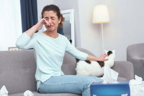 Alergia na kota – 12 wskazówek dla osób uczulonych
