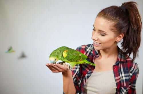 Niesamowite zdolności poznawcze papug