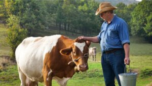 Mykotoksyny a hodowla zwierząt – co je łączy?