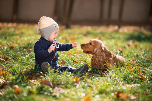 Dziecko na trawie z psem, koncepcja samo zdrowie