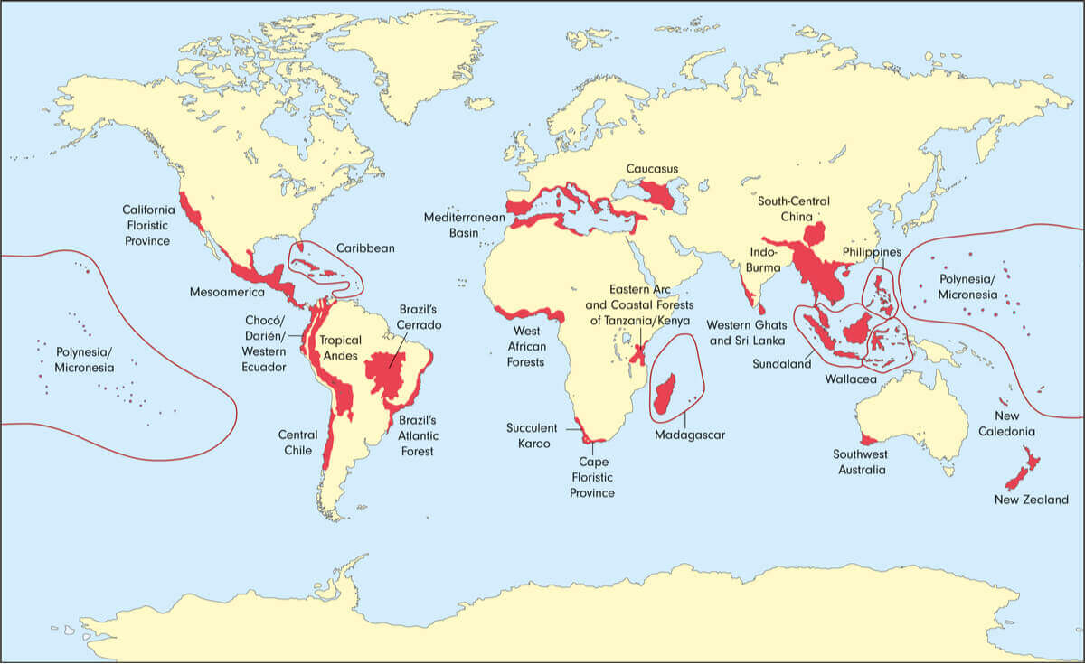 Ilustracja przedstawia mapy światowej bioróżnorodności