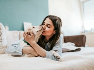 Czy psy lubią pocałunki?