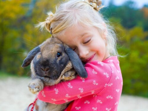 Dziewczynka trzyma królika